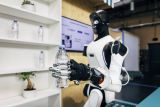 Demonstrator for robotic hand